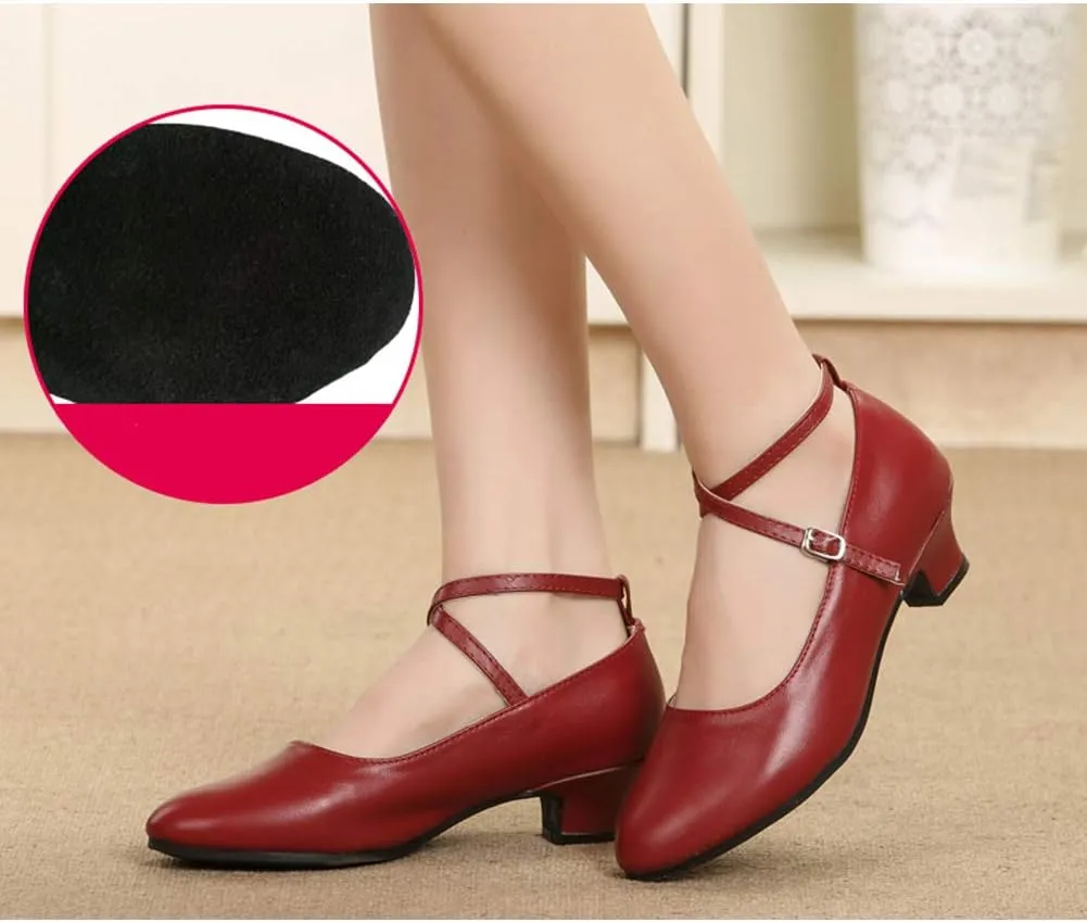 JUODVMP Leather Closed Toe Latin Ballroom Dance Shoes Women Character Shoes Tango Practice Dance Pumps,DYZPHRD