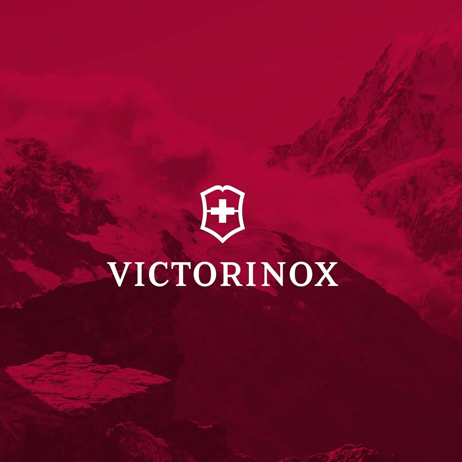 Victorinox VX Sport EVO Compact Backpack - Modern Backpack to Carry Travel Accessories - Includes Airflow Channels & Adjustable Straps - 20 Liters, Blue