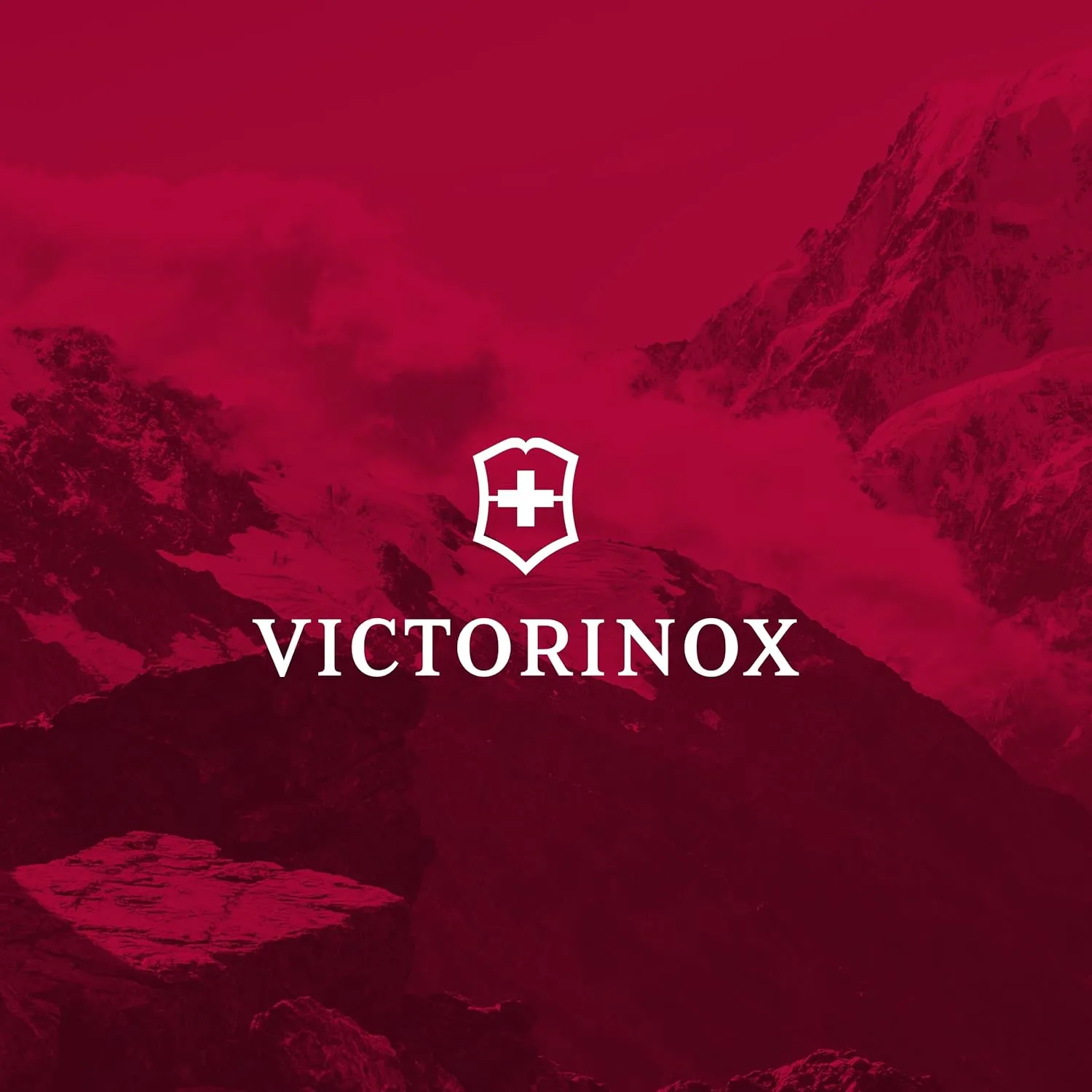 Victorinox VX Sport EVO Deluxe Backpack - Modern Backpack to Carry Travel Accessories - Includes Airflow Channels & Adjustable Straps - 28 Liters, Blue
